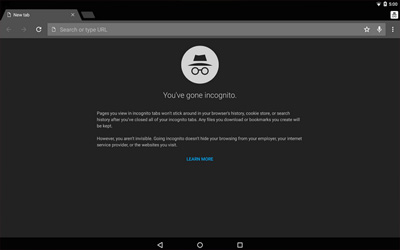 Chrome Browser Screenshot 1
