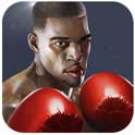 Punch Boxing 3D APK